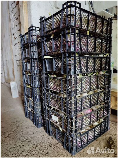 Поиск партнеров в готовый бизнес