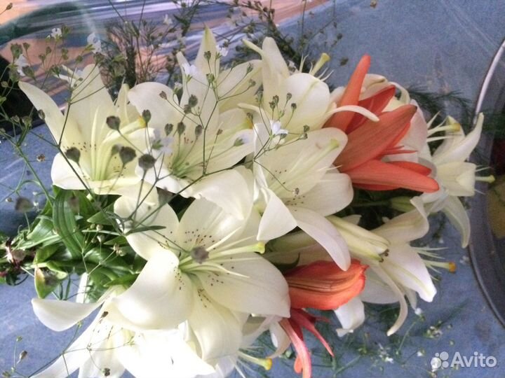 Луковицы лилий набором