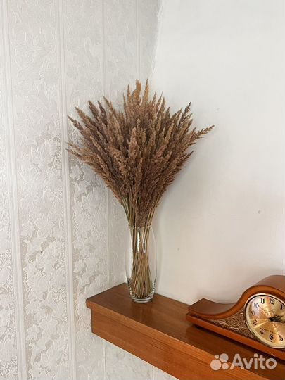 Букет из сухоцветов сухоцвет