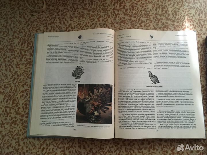 Мир животных И. Акимушкин