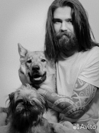 Кинолог I Зоопсихолог. Коррекция поведения собак