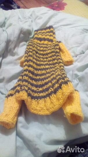 Одежда для той-терьеров