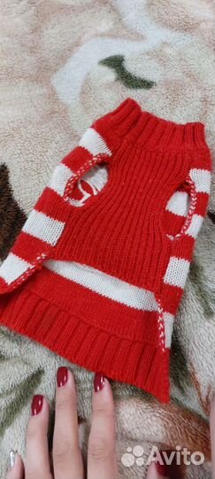 Одежда для маленьких собак