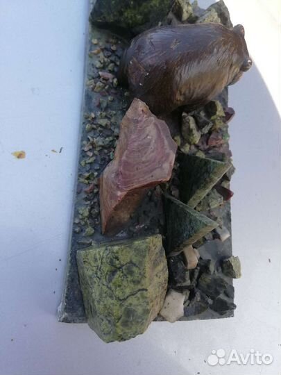 Композиция из змеевека