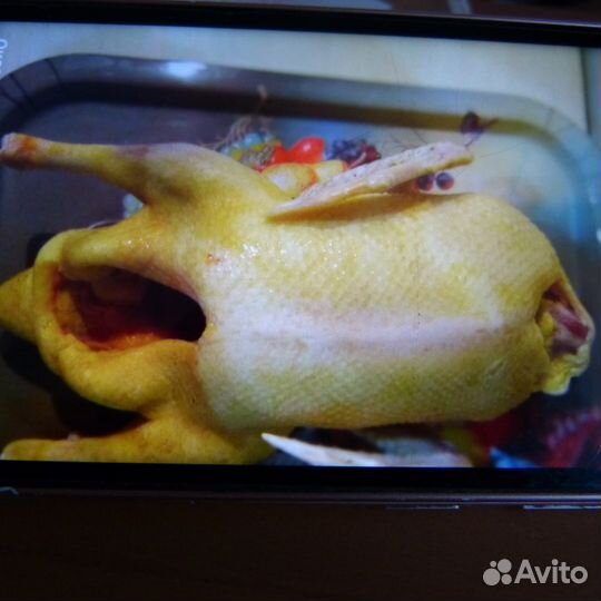 Мясо птицы домашней