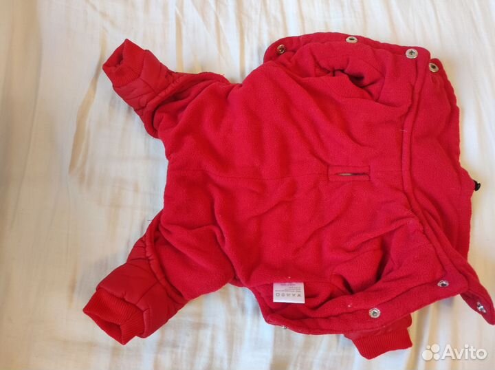 Одежда для маленьких собак