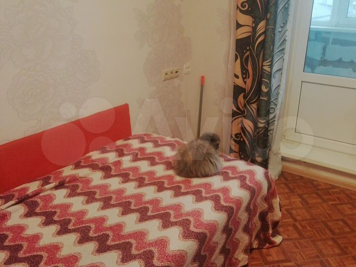 Комната 10 м² в 3-к., 6/9 эт.