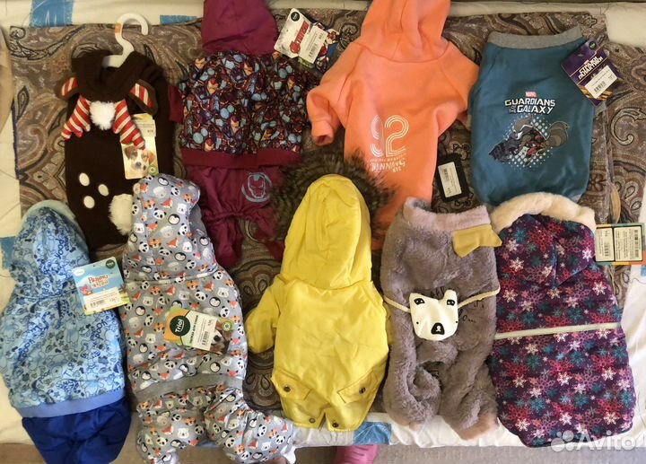 Одежда для собак