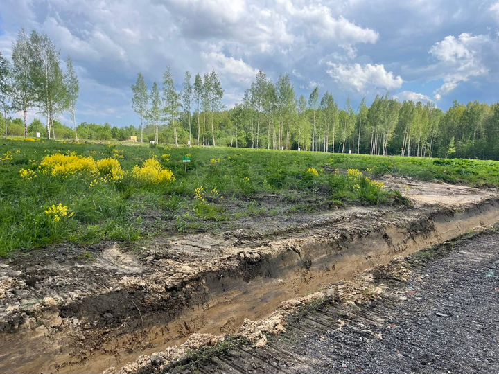 Участок 10 сот. (ИЖС)