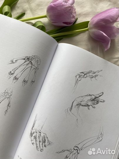 Николай Ли основы академического рисунка