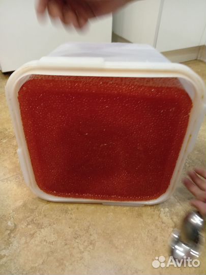 Красная икра 2023