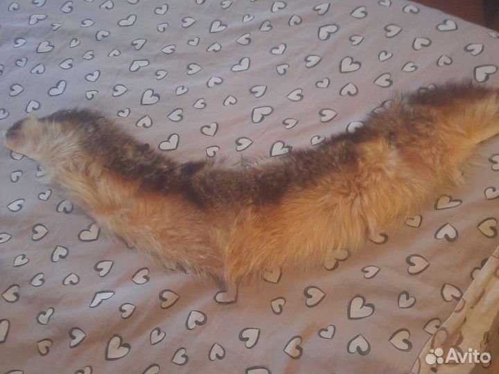 Меховой воротник лиса