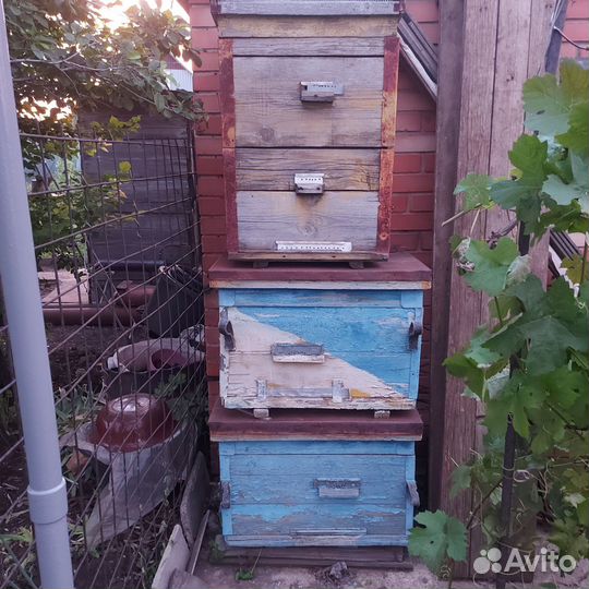 Продам ульи для пчел