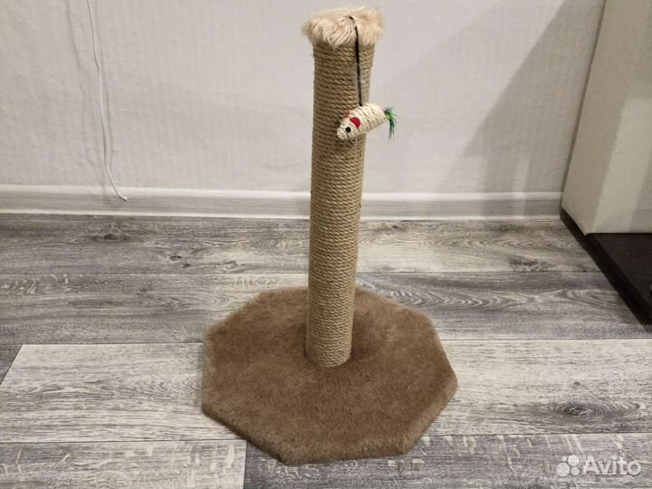 Когтеточка