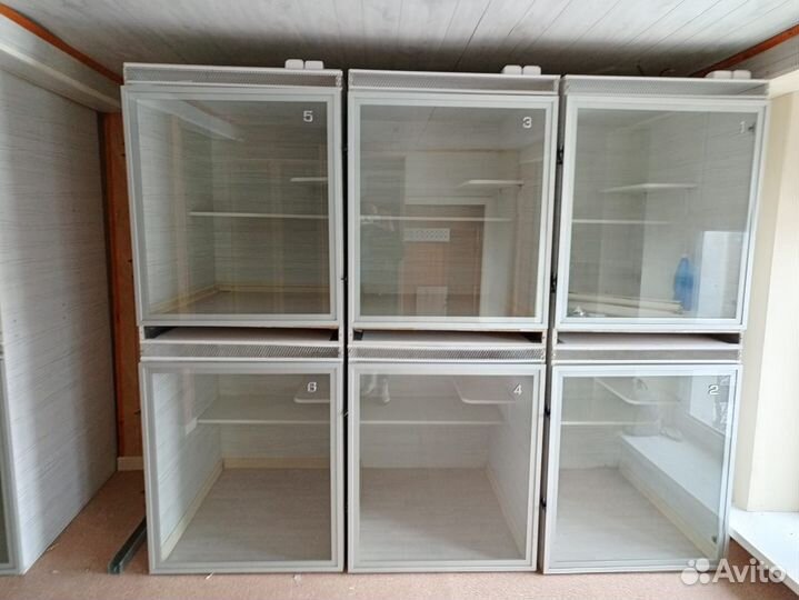 Передержка кошек в зоогостинице