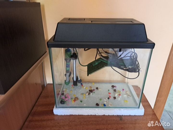 Аквариум