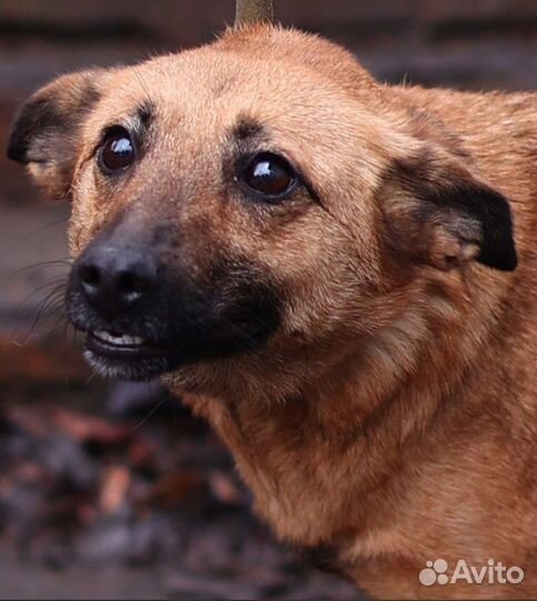 Ищем доброго партнера в нко