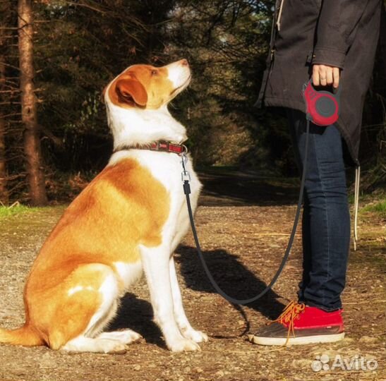 Поводок-рулетка для собак 5 метров