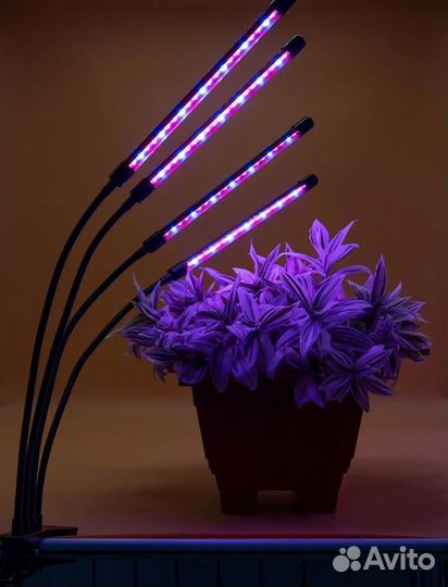 Фито лампа для растений