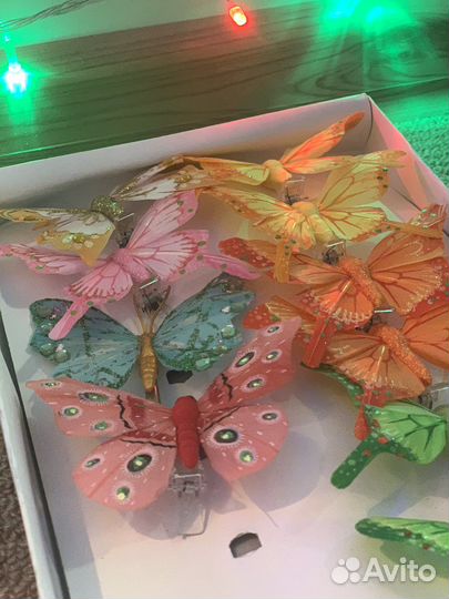 Флористика бабочки