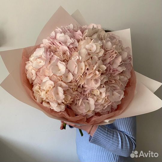 Букет из розовых гортензий 35 шт