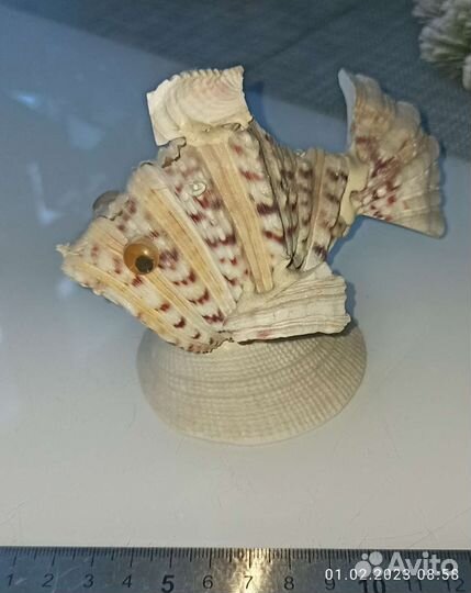 Рыбка из ракушек. Чёрное море