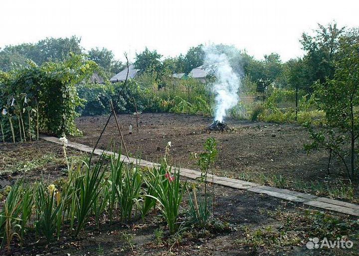 Прополка огородов