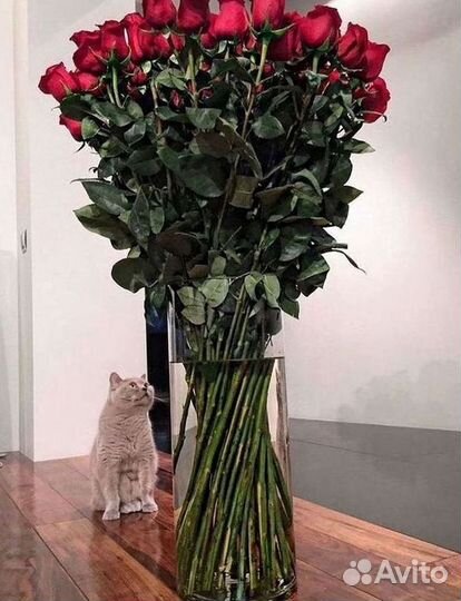 Высокие розы 150 160 170 180 190см доставка Москва