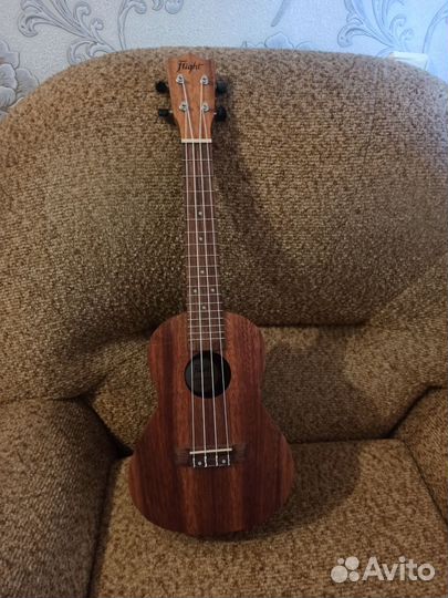 Укулеле flight концерт