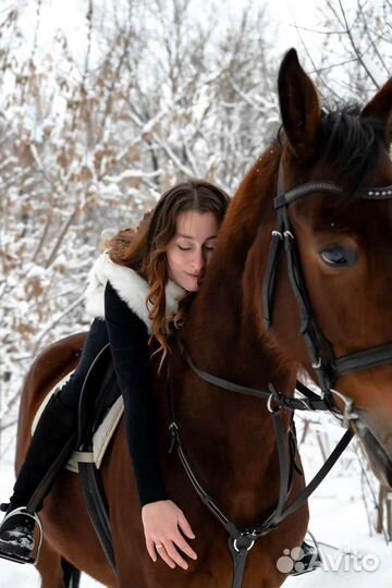 Конный клуб