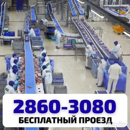 Разнорабочий вахта. Выезд бесплатный