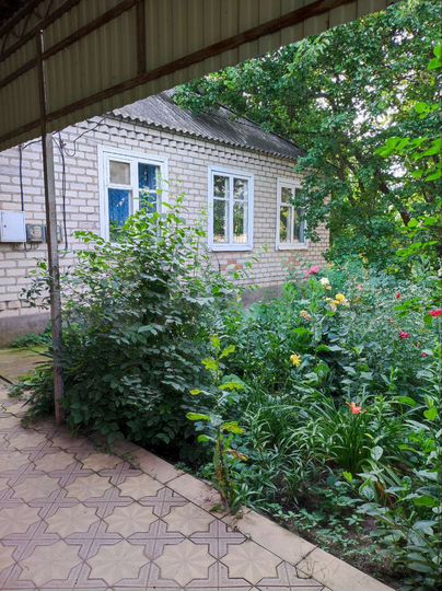 Дом 82 м² на участке 26 сот.