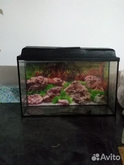 Аквариум