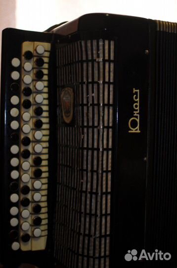 Баян юность