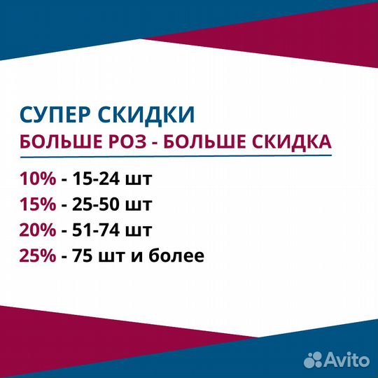 Букет разноцветных роз, Эквадор, 50см 33 шт