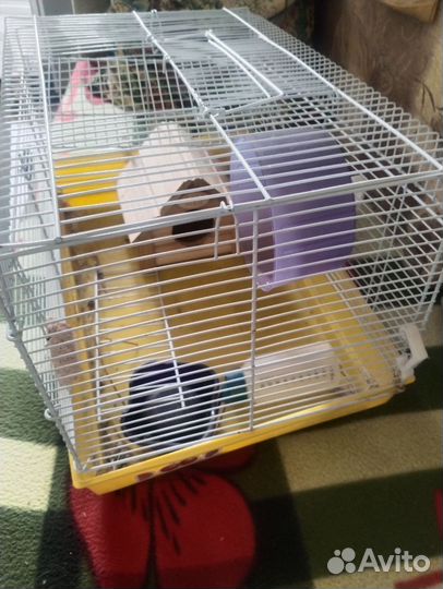 Клетка для грызунов бу