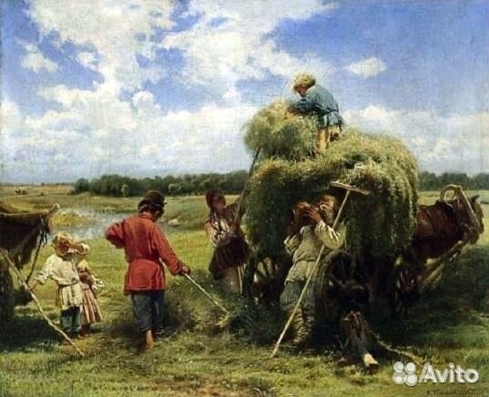 Луговое сено в рулонах и тюках