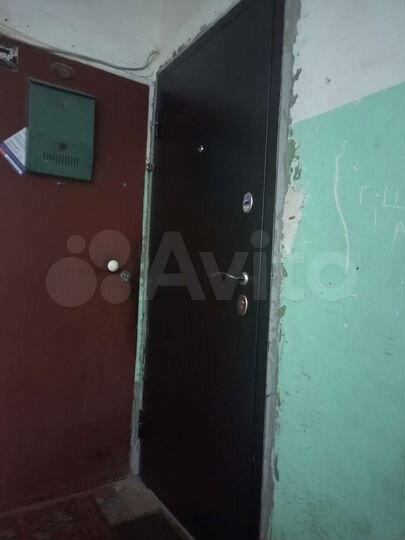 1-к. квартира, 31,6 м², 1/4 эт.