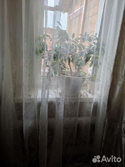 Продам новый тюль