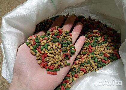 Корм для карпа Кои