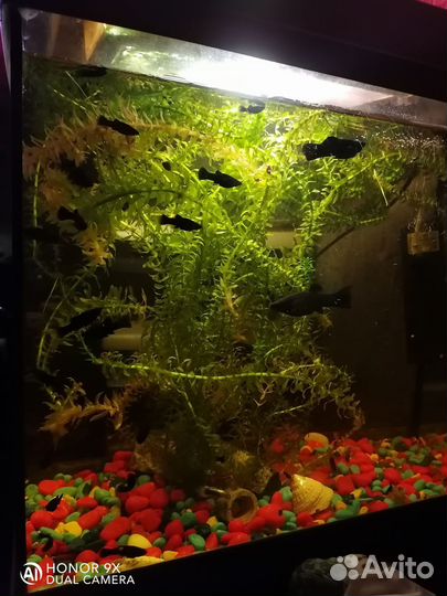 Украшение для аквариума