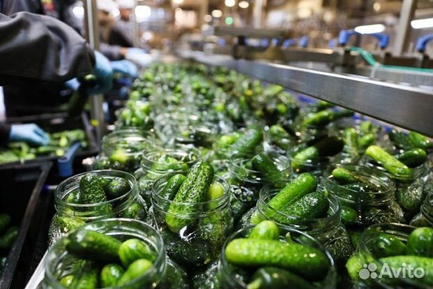 Фасовщик, вахта