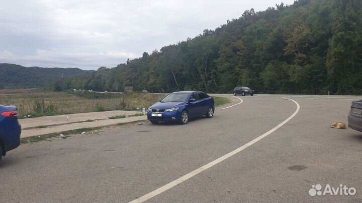 Kia Cerato 1.6 AT, 2010, 174 000 км