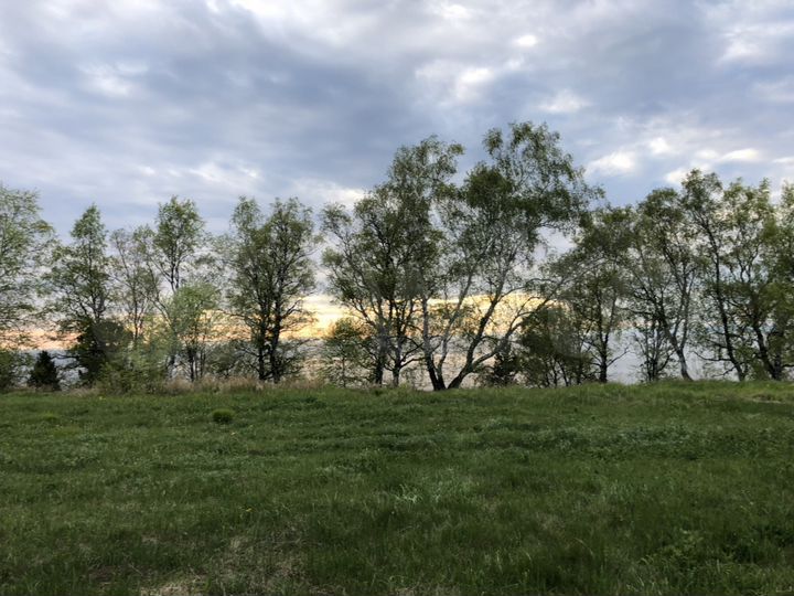 Участок 20 сот. (ИЖС)