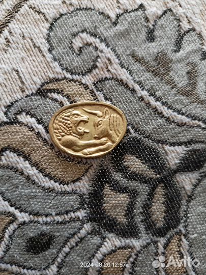 Монеты магнит золото магнитного моря