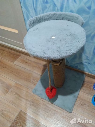 Когтеточка