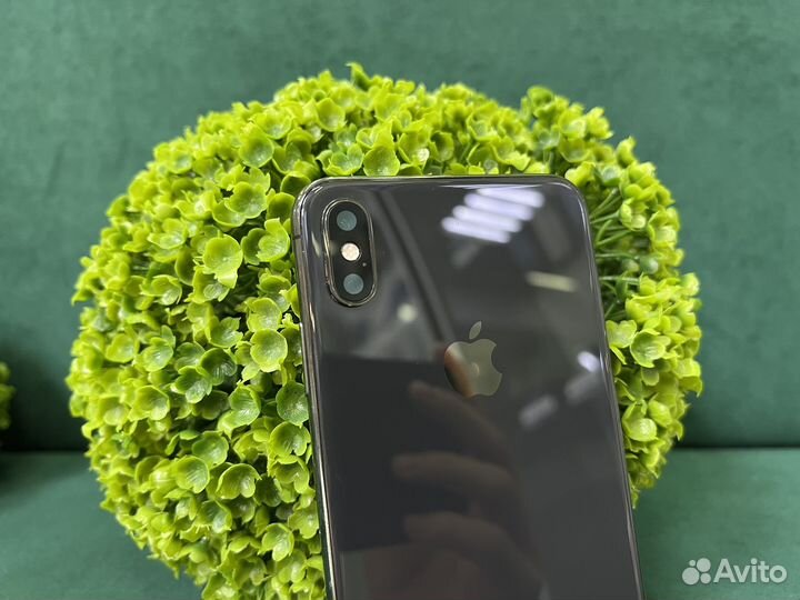 iPhone Xs Max, 256 ГБ