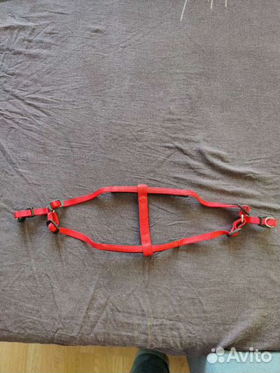 Шлейка для маленькой собаки