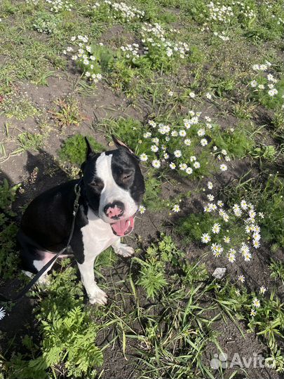 Фотосессия