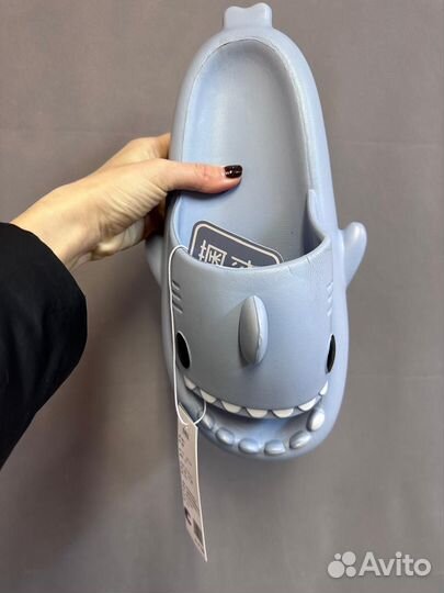 Шлепанцы мужские акула